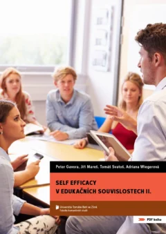 Self efficacy v edukačních souvislostech II