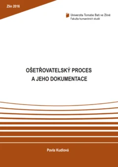 Ošetřovatelský proces a jeho dokumentace