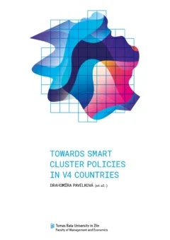 Towards smart cluster policies in V4 countries